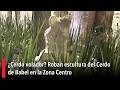 ¿Cerdo volador? Roban escultura del Cerdo de Babel en la Zona Centro