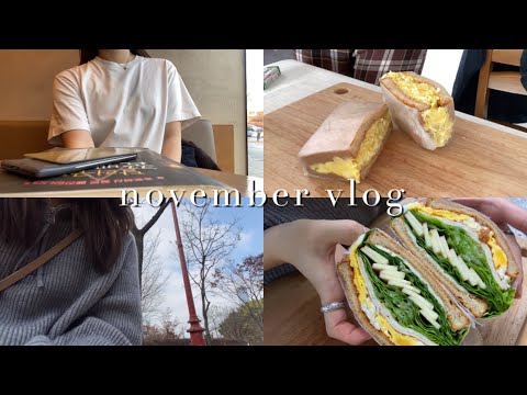 vlog\ 휴학생 일상 브이로그 | 카페에서 책 읽기 | 운동, 병원, 붕어빵 !! | 에그마요 샌드위치, 김치 볶음밥 | 혼자 장보기