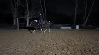 1.30.2023 PIVO Jenna & Dreamer Bridleless Flatwork