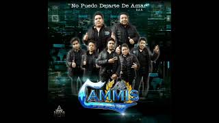 GRUPO LOS CAMMIS DE VILLA VICTORIA - NO PUEDO DEJARTE DE AMAR [ESTRENO 2022]