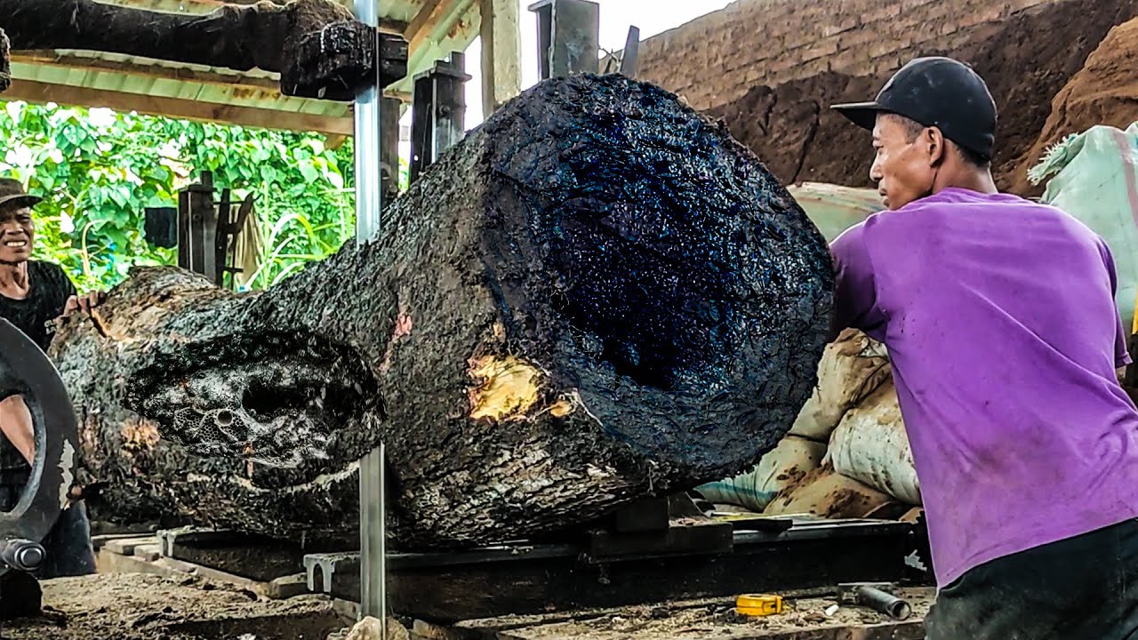 London Sawmill Worker’s Close Call – Trembesi Log Nearly Caused a Fatal ...