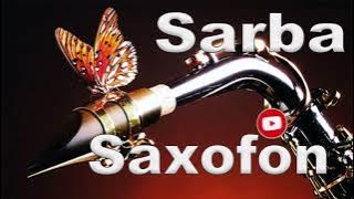 Saxofon Sarba | Muzica si Evenimente