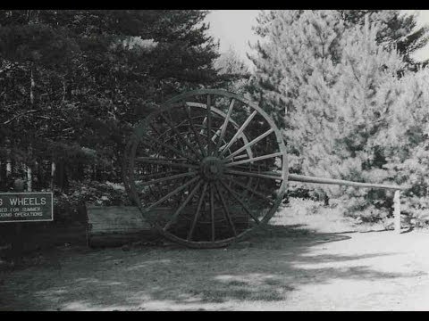 White Pine History: Logging in Michigan