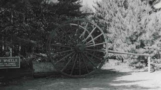 White Pine History: Logging in Michigan