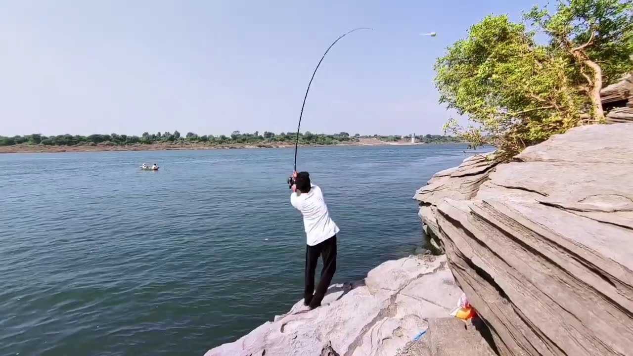 River fishing||fish catching||amazing fish catch||black rohu fish🐟