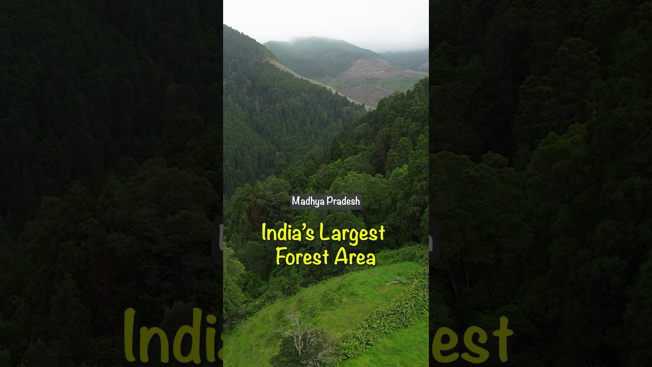 Interesting facts about Madhya Pradesh