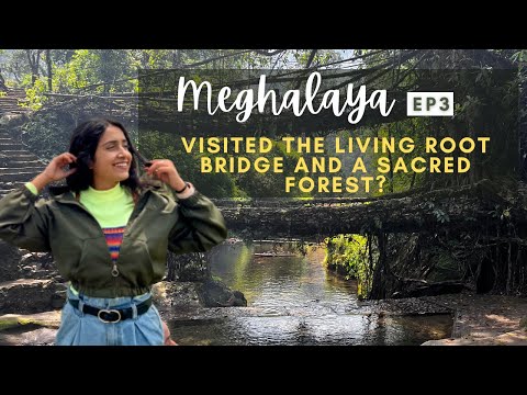 Video: Meghalaya's Living Root Bridges: Complete Travel Guide