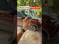 Tata Punch EV per km cost ve Petrol Cars cost #manishbhardwaj #tatamotorsindia #electriccar #shorts