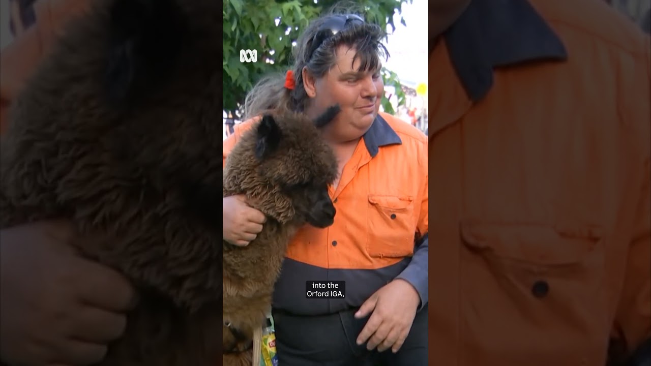 Alpaca discrimination case to be heard in court | ABC NEWS