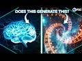 Understanding Space and Time: A Neuroscientific Perspective