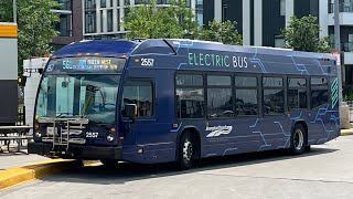 Brampton Transit | 2025 Novabus LFSe+ 2557 Route 561 Züm Queen West to Downtown Brampton Terminal