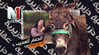 وردة شارلومانتيMEMES DZ 2021 Warda Charlomanti - 3a9liya Dziria