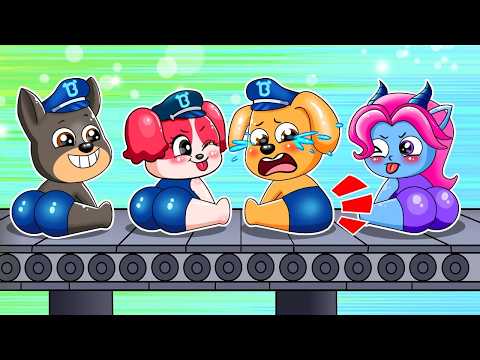 Baby Cute Factory - What Happened to Labrador Baby - Sheriff Labrador Animation