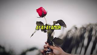 Bachata Rosa (KARAOKE) Juan Luis Guerra, TONO BAJO, Pista - Letra, Videolyrics
