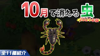 【あつ森】10月で消える虫を全て紹介!出現時間や条件・売るときの値段についても徹底解説!サソリやタランチュラなどレア虫を効率よく捕る方法【あつまれどうぶつの森 10月の虫図鑑コンプリート】