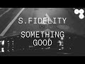 S fidelity  something good official visualizer