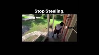 Amazon porch pitate shits himself while trying to steal neighbors package | Must See 😂