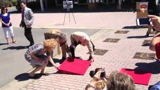 VIDEO: Saratoga Race Course adds Zaccio, Gallorette to Hoofprints Walk of Fame. See new bronze plaqu