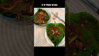 무공해 깻잎 한가득! 먹을 만큼만 바로 무쳐 먹어요🌿#깻잎 #깻잎수확 #깻잎양념장 #양념깻잎 #텃밭가꾸기 #무공해채소 #집밥반찬 #소소한일상 #shorts #쇼츠 #오끄미네일상