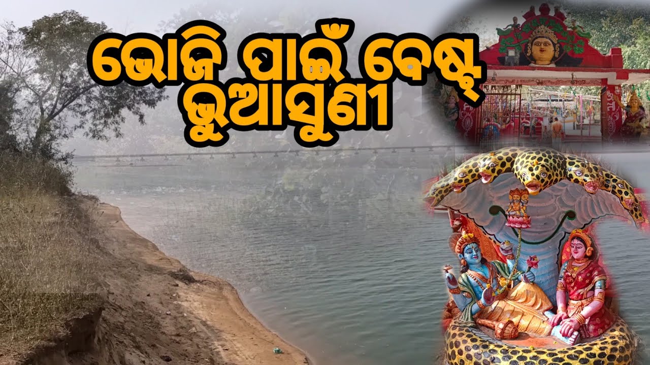 Best Picnic spot in Cuttack। Bhuasuni #vlogs #cuttack #odisha #india #visitingplaces #picnic #food