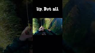 TROUT of the Day! #fishing #shortsvideo #short #shorts #wisconsintroutfishing