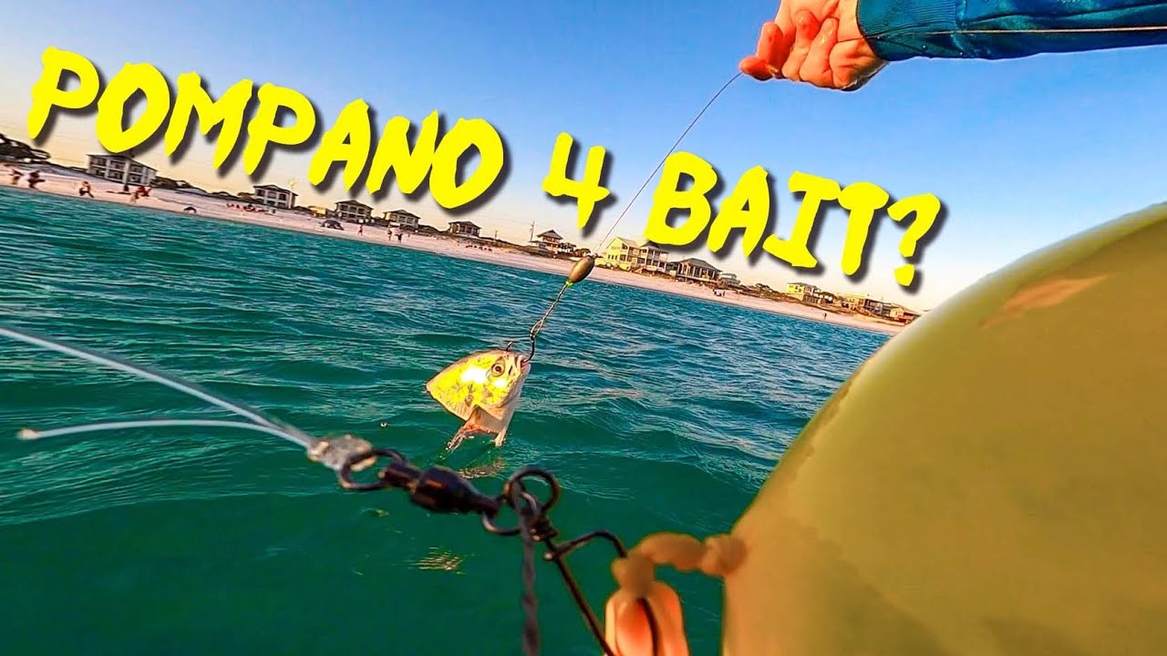 Using Balloons to Catch MASSIVE PREDATOR FISH!!!