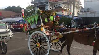 Dumaguete City Tartanilla