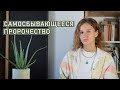 САМОИСПОЛНЯЮЩЕЕСЯ ПРОРОЧЕСТВО | Как наши установки влияют на реальность?