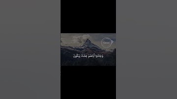  “فَصَبْرٌ جَمِيلٌ وَاللَّهُ الْمُسْتَعَانُ عَلَى مَا تَصِفُونَ”| القارئ وائل علي