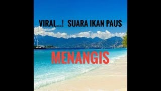 VIRAL..  tangisan ikan paus yang menggemparkan dunia.