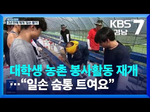 [여기는 진주] <strong>대학생</strong> 농촌 <strong>봉사활동</strong> 재개…“일손 숨통 트여요” / KBS  2022.07.04.