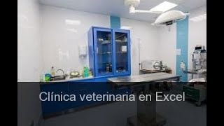 #Gestión de la #clínica #veterinaria en #Excel screenshot 5