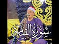سوره القيامه بصوت القارئ احمد رضا السمالوسي 