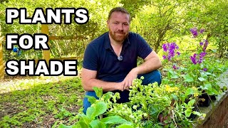 How To Plant in Shade | Great Plants For Wildlife
In this video, Joel creates a new shady border in just 5 square metres of his garden and talks about great plants to use that also attract wildlife.
To see a wide selection of shade-loving plants, check out:
https://wildyourgarden.com/product-category/plants-climbers/perennials-for-wildlife/
Thank you for watching and dont forget to SUBSCRIBE and turn ON the notification bell to get the latest video updates.
To find out more about how you can help wildlife, what I do to help wildlife and to follow my work, please see the following:
To find a vast array of wildflowers, pond liners, birdfood, habitats and more, please see what we do here:
https://wildyourgarden.com/
Wild Your Garden - Create a sanctuary for nature - My latest book on how you can help wildlife in your own garden and how to install all the habitats that your local wildlife will need to thrive. Complete how tos and step by step guides. Buy your copy online here:
https://wildyourgarden.com/product/wild-your-garden-book/
Hazelwood Landscapes - Where you will find photographs and case studies of some of the projects I have undertaken over the last 16 years and how you can enquire if you would like any advice / help with your own garden:
https://www.hazelwoodlandscapes.com
Twitter:
@_joelashton
https://twitter.com/_joelashton
Instagram:
@_joelashton
TikTok:
@_joelashton
For consultations, talks, television enquiries, design workshops, landscaping enquiries, film making and book enquiries, please visit:
https://www.joelashton.com
Finally, please subscribe to the channel to help me raise awareness about the importance of helping wildlife in your own gardens and green spaces and to get notified when I upload the latest videos.
Thank you for watching and if you have any suggestions for future videos, please comment on the video or get in touch via one of the platforms above.
Many thanks,
Joel Ashton
#DryShade #Shade #JoelAshton #WildYourGarden #ShadyBorder #PlantsForShade #GeorgianWildlifeGarden How To Plant in Shade | Great Plants For Wildlife