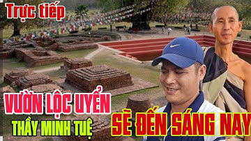 Vườn lộc uyển  THẦY MINH TUỆ Có trả lời gì không