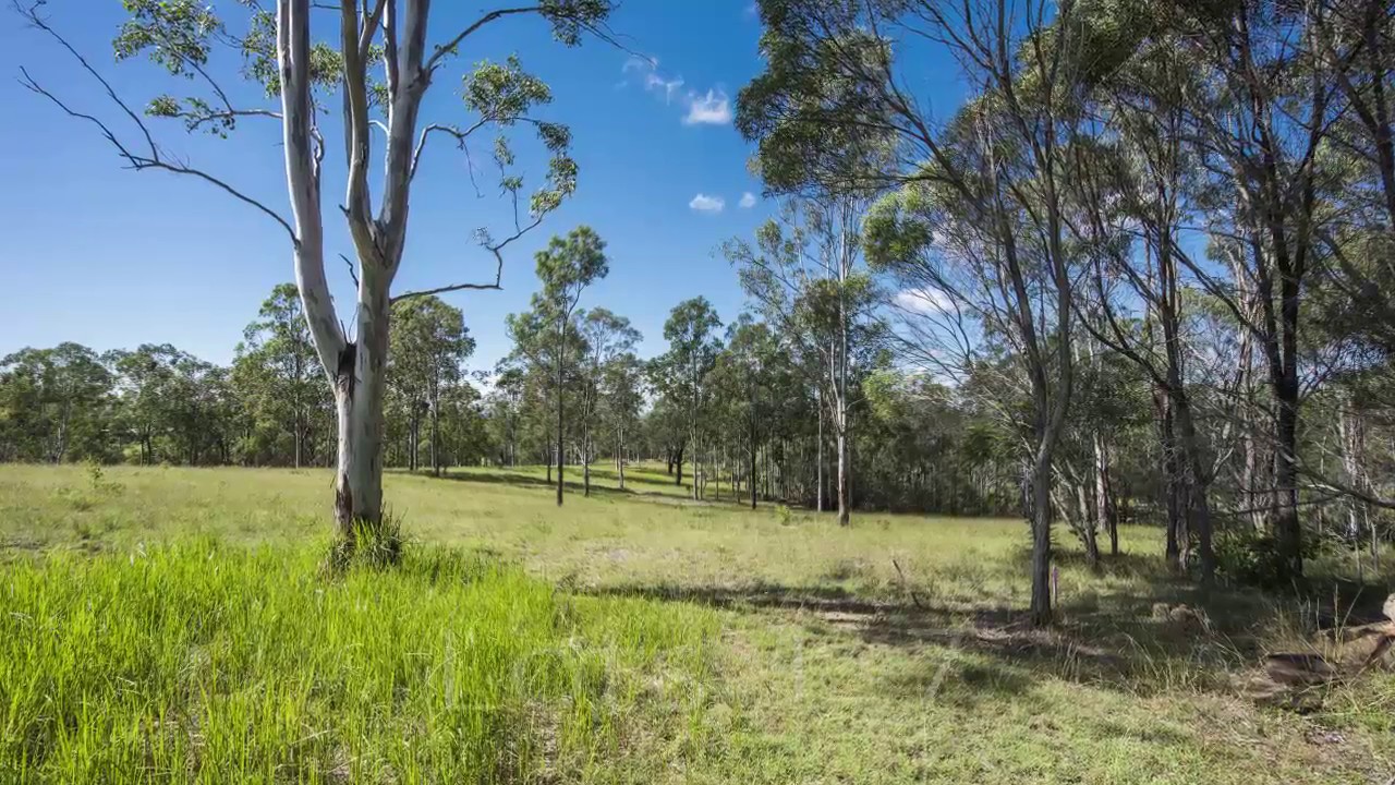 Hampton Park Estate, Waterview Heights YouTube