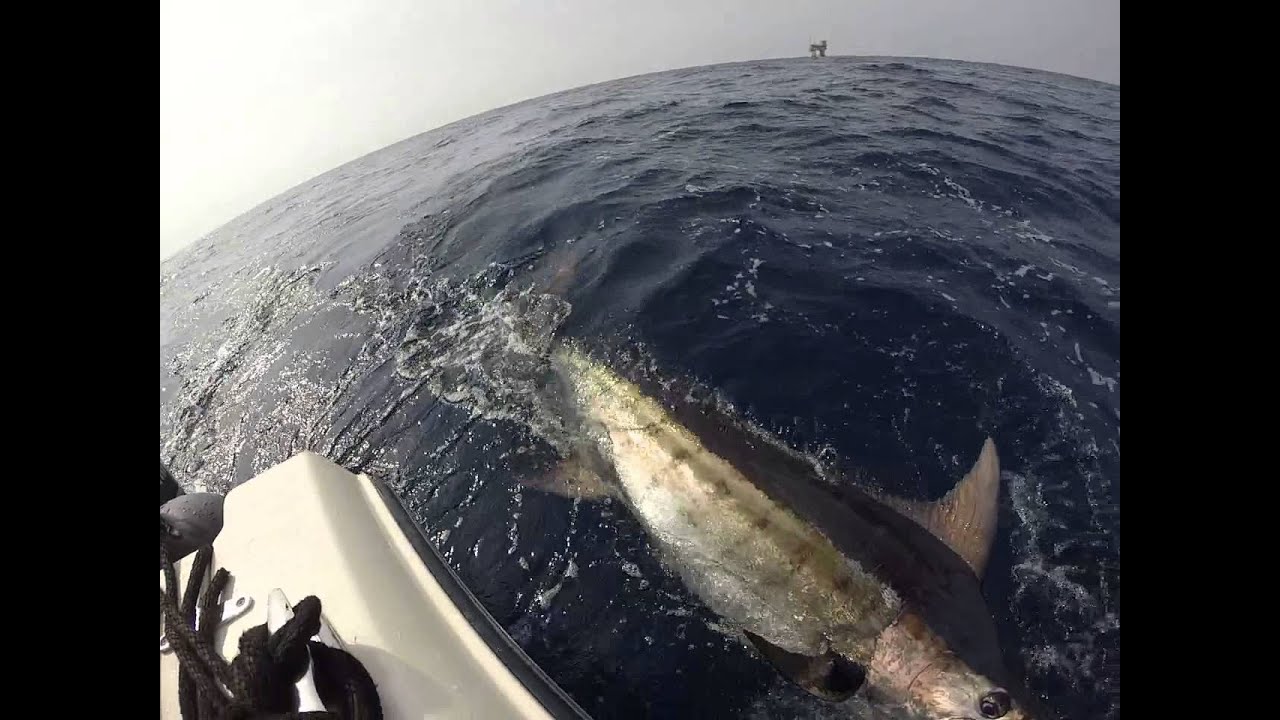 Blue Marlin - East Cerveza Rig - Aboard Artemisa - YouTube
