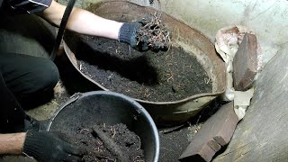 видео: Разведение червя в ящике или корыте. Выращивание червей в домашних условиях картинка: Разведение червя в ящике или корыте. Выращивание червей в домашних условиях