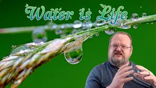 The Theology Of Rain Egypt Had The Nile, Israel Had God