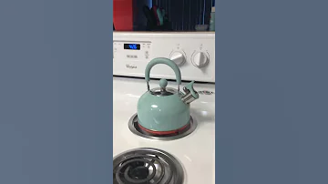 Tea Kettle Whistling Lol Sounds Like A Monkey Screamng 