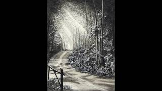 Simple Landscape Drawing with Charcoal & Acrylic | Sunlit Forest| Easy Step-by-Step for Beginners