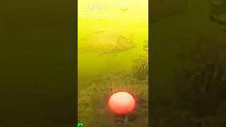 #fishing #carpfishing #fishingcamera #camera #caucathugian #caucamera #shotsvideo