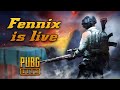 🔴PUBG PC LITE/ Rogue Company🦊Fennix Gaming