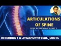 INTERBODY & ZYGAPOPHYSEAL JOINTS #ARTICULATIONS OF SPINE | BIOMECHANICS OF SPINE {PART 3}