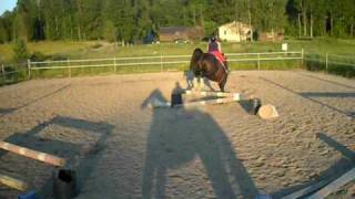 Hoppning Hemma 246 - 10