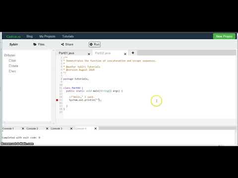 Introduction to Java — Part 2: Concatenation and Escape Sequences