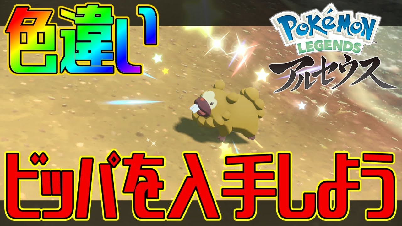 ポケモンアルセウス 色違いビッパを入手しよう Pokemon Legends アルセウス Youtube