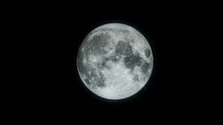 Moon Phase