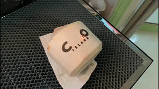 Affordable CO2 Laser Fruit Marking Machine for Coconut