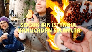 Hayat Bi̇r Gün Oda Bugün Şfet Şfetteyiz Ünlükvlog